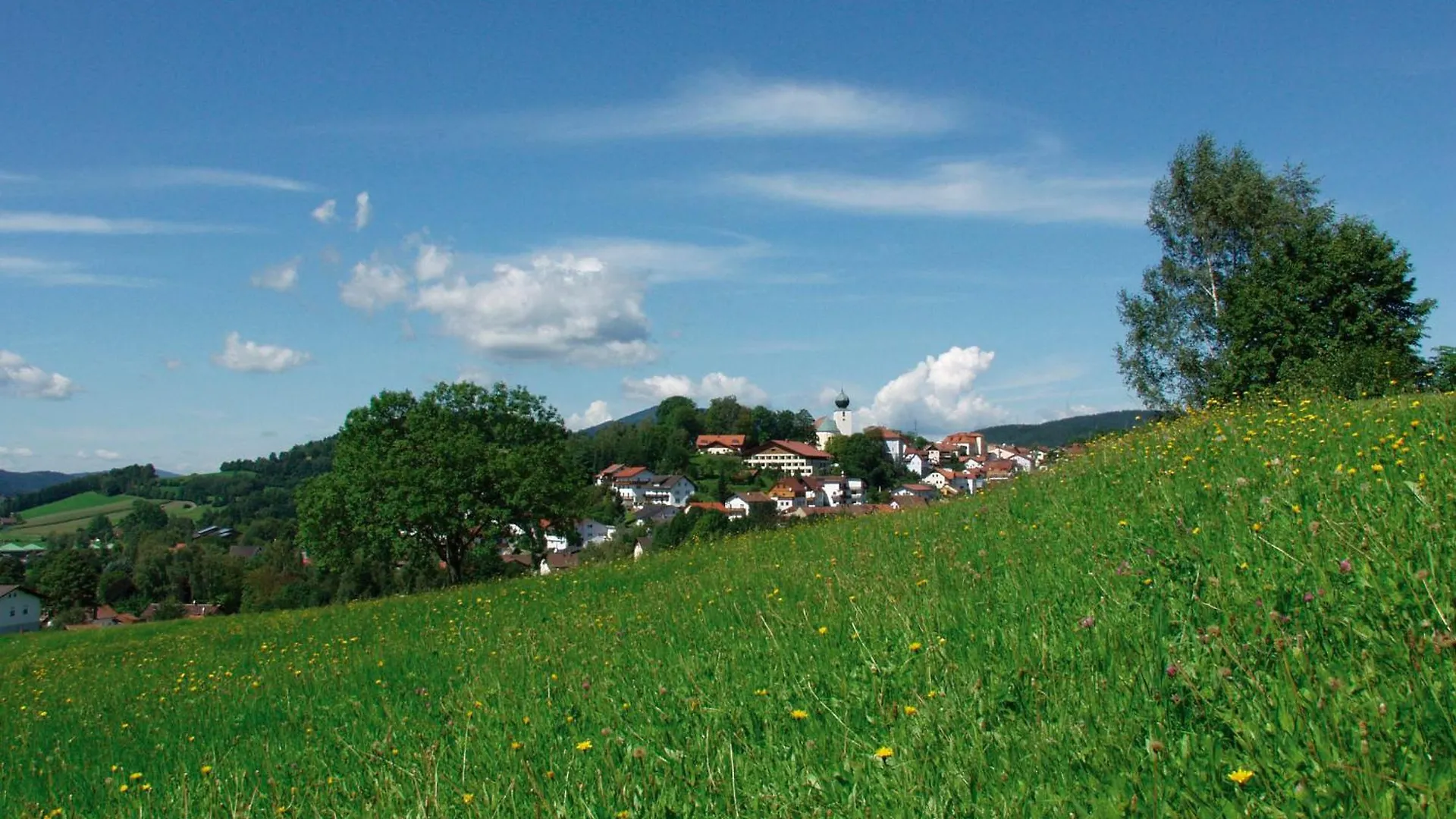 Hotel zur Post Lam